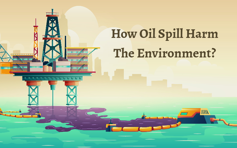How Oil Spill Harm The Environment